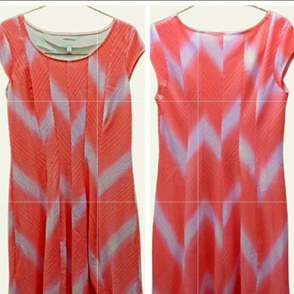 EUC Signiture by Robbie Bee Skater Dress sz L